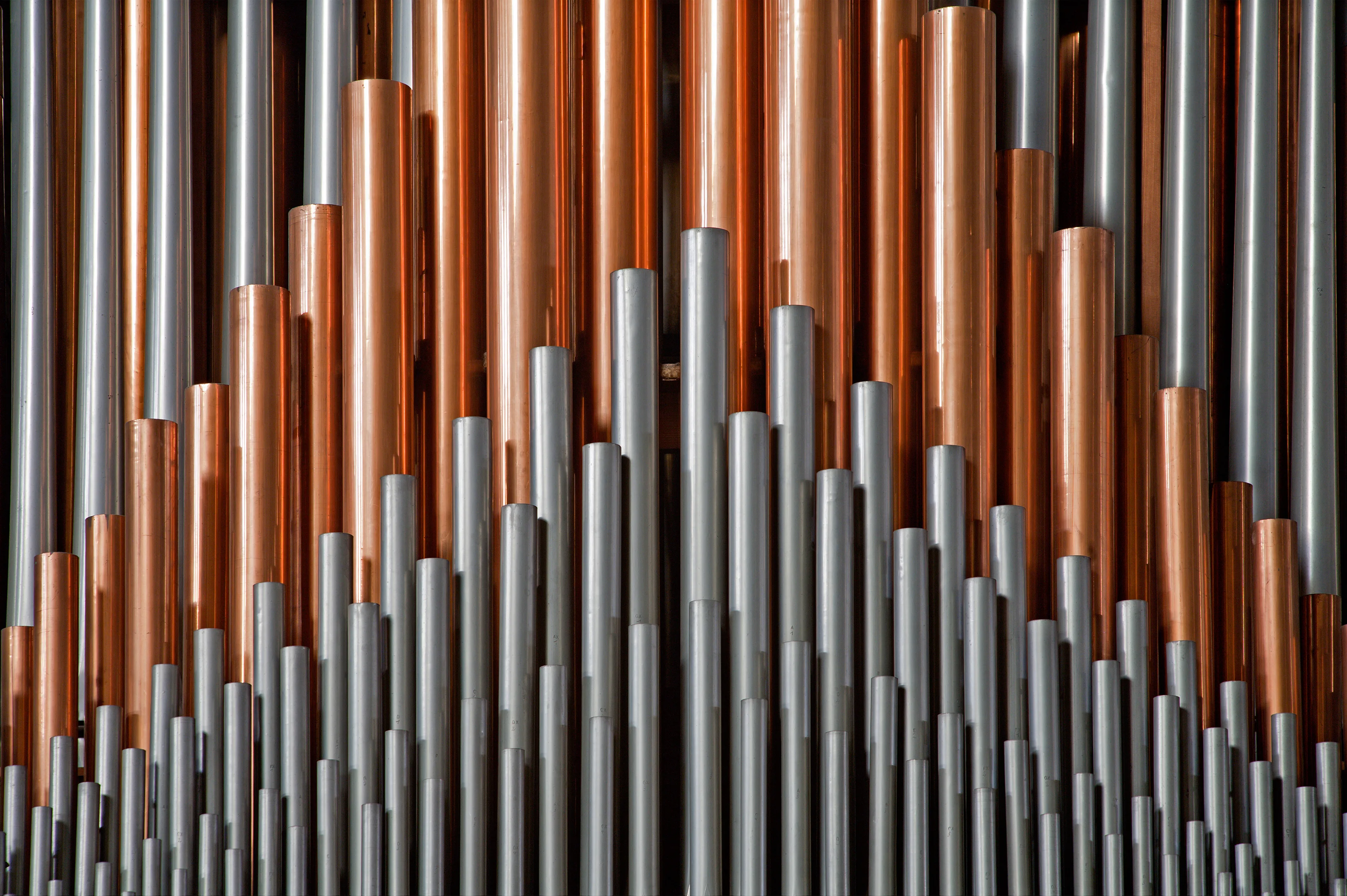 Орган в Планетарии. Белые ночи